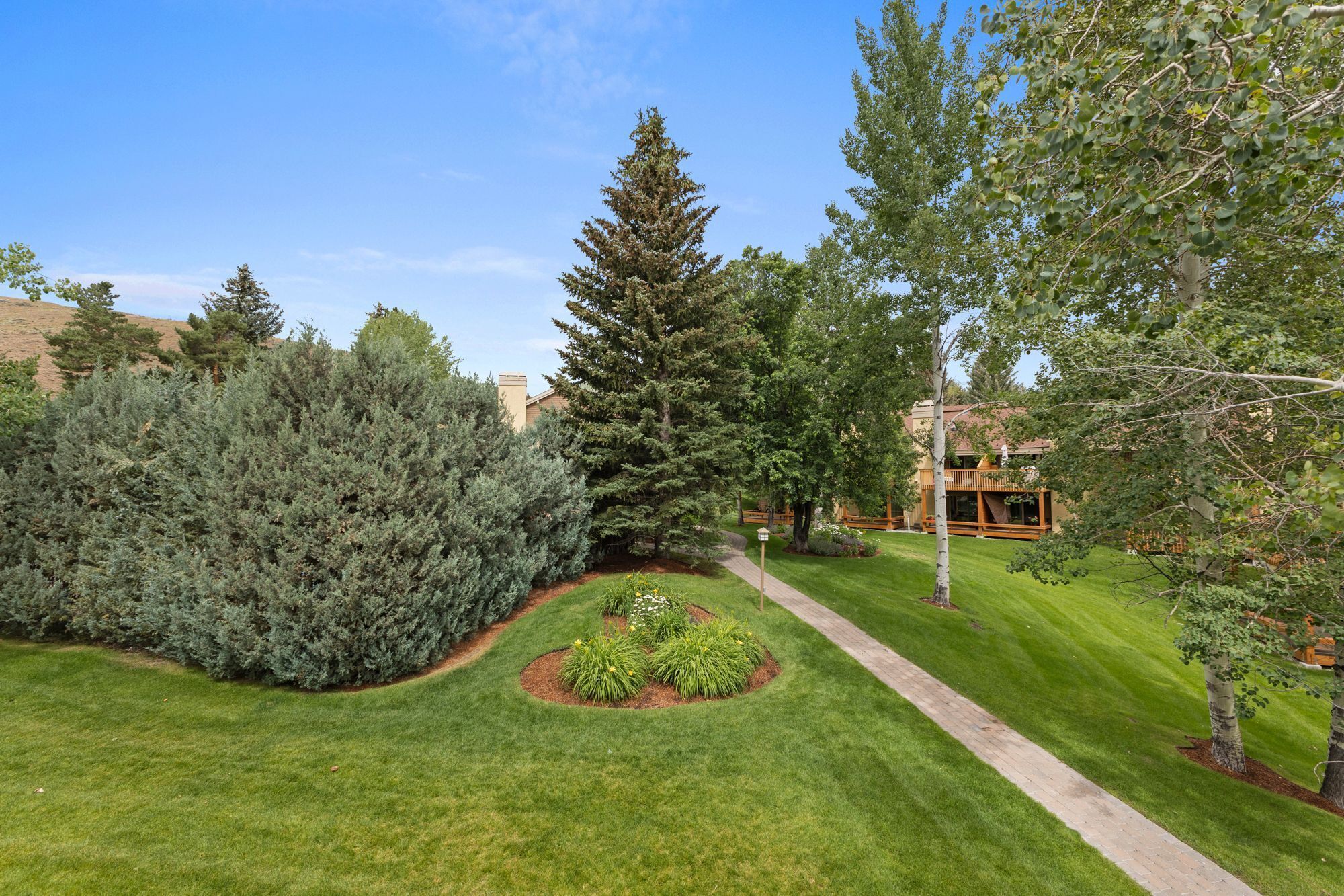 A well-maintained garden with a variety of trees and shrubs, a paved pathway, and a building with a deck.