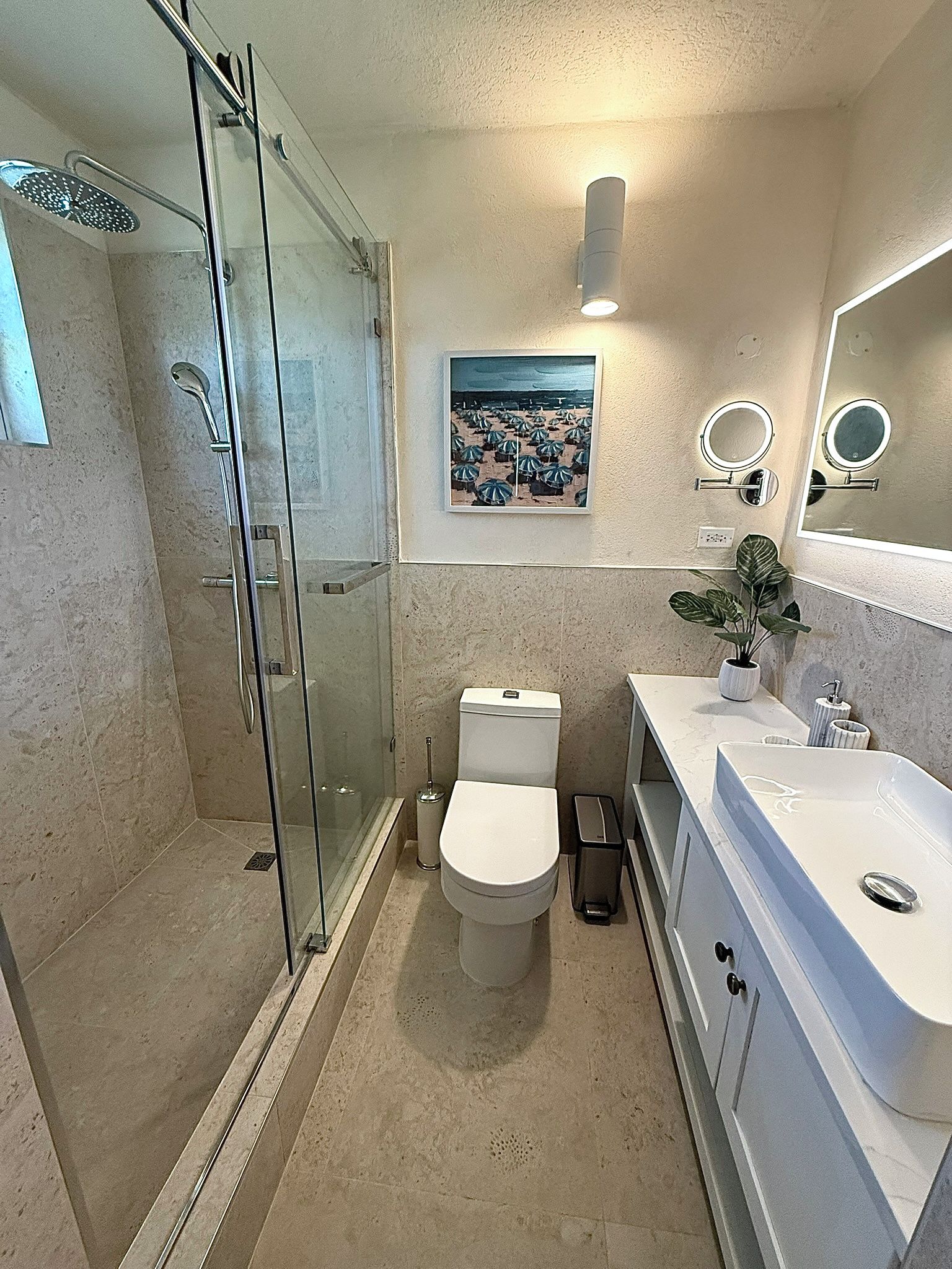 Une salle de bain avec une douche à parois de verre, des toilettes, un lavabo avec un miroir et une plante en pot.