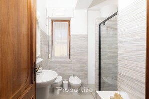 Shower, hair dryer, bidet, towels
