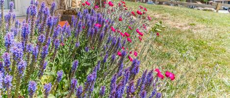 تفاصيل الفندق من الخارج