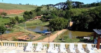 Fazenda Morro Pelado