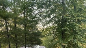 Een grindpad leidt naar een huis omringd door bomen.