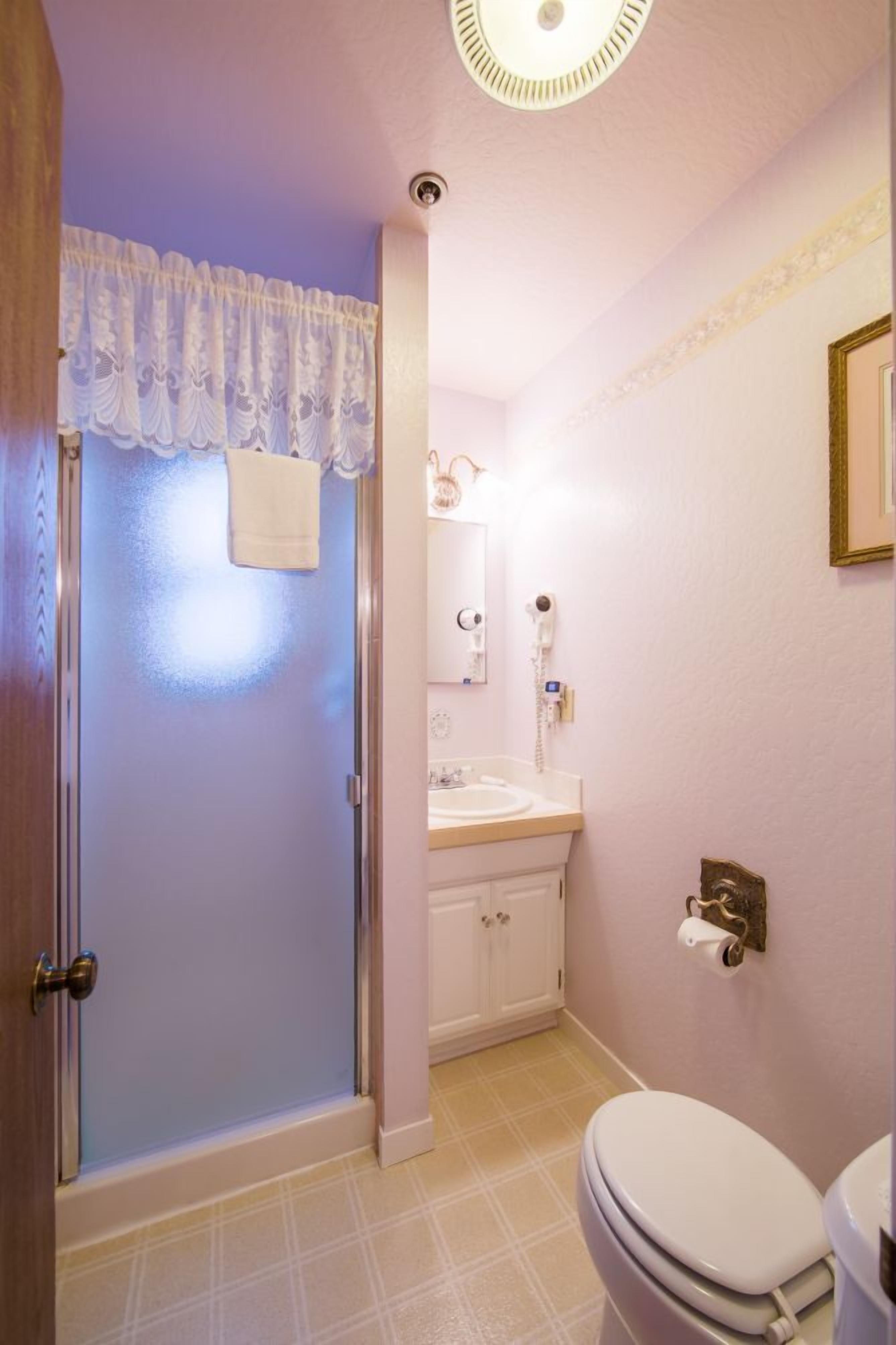 Een badkamer met een douche, toilet, wastafel en een spiegel.