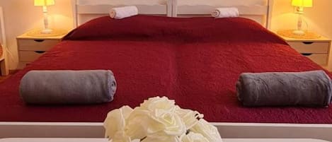 Apartment (One Bedroom Apartment)