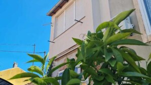 A building with a beige facade, a visible window, and a plant in the foreground. - Apartment Bijonda Near Arena Pula (Pula)