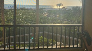 A balcony with a view of a beach and palm trees. - Eagle's Nest Gulf Front Unit, Closest to the Beach - Platinum Week 11 (Marco Island)