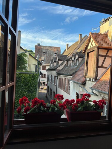 Le Schmoutzi - comfort and charm in the center of the magnificent village of Riquewihr