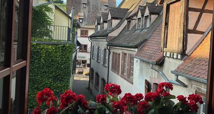 Le Schmoutzi - comfort and charm in the center of the magnificent village of Riquewihr