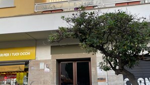 Un edificio con escaparate, un árbol en la fachada y una puerta de garaje cerrada.