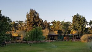 A residential property with a well-maintained lawn, a patio area, and a large tree in the background. - Posada del Santo Green & Rest (Cerrillos)