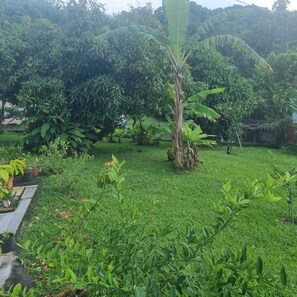 Property grounds - Cosy apartment in the center (Fort-de-France)