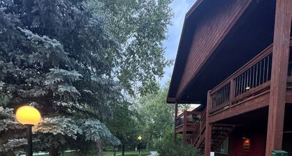 Pet-Friendly Mountain Condo Near Grand Targhee & Jackson Hole - Sleeps 9