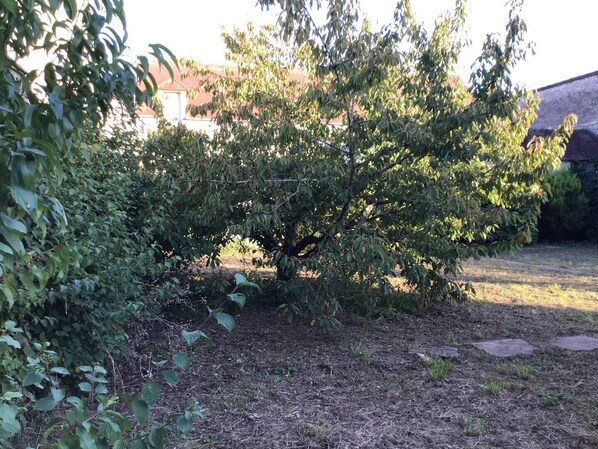 Boendeområde