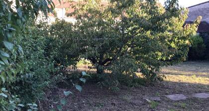 House 180 m2 and garden 600 m2 14 Sleeps maximum