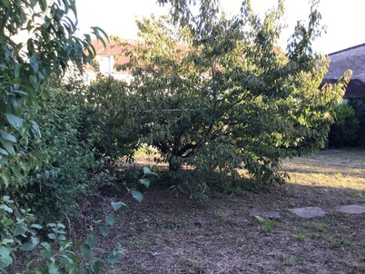 House 180 m2 and garden 600 m2 14 Sleeps maximum