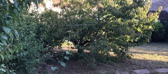 House 180 m2 and garden 600 m2 14 Sleeps maximum