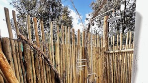 A wooden deck with a rustic fence and a metal ladder. - Sironka Cabin Getaway in Ole Lekurruki, Naromoru. (Mureru Farm)