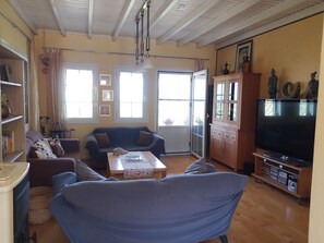 TV, fireplace, DVD player, books