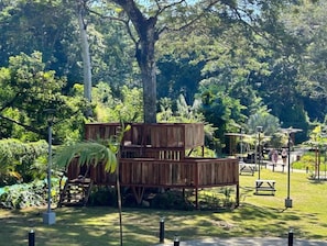 Children’s area