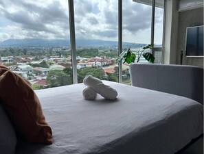 Room - Relaxing loft in the heart of the city AC/Wifi (Curridabat)