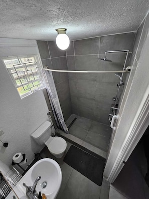 Shower, bidet, towels, soap