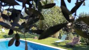 A clear view of a swimming pool with a grassy area and lounge chairs around it. - Casa Maínha Solar Minhoto Century XVII with private pool  (Panóias)