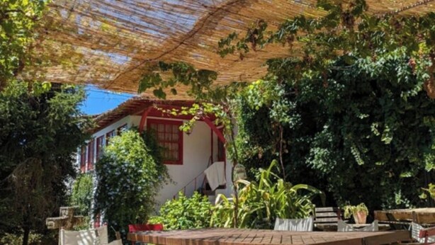 An outdoor dining area with a wooden table and chairs, a thatched roof, and lush greenery. - Casa Maínha Solar Minhoto Century XVII with private pool  (Panóias)