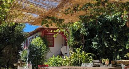 Casa Maínha Solar Minhoto Century XVII with private pool