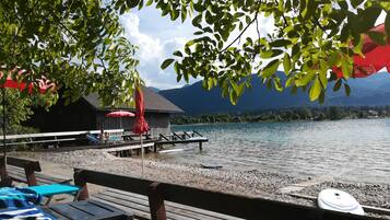 Ărea da propriedade