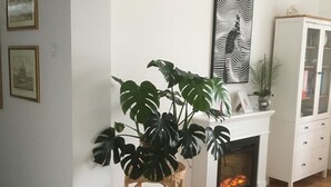 A living room with a fireplace, a large plant, a cabinet, and framed pictures on the wall.