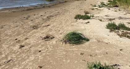 Retreat House / privat sauna / natural pond to swim / no neighbours / lake / sea