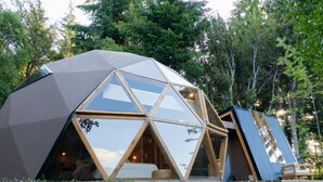 A geodesic dome structure with large glass windows, surrounded by a forest.