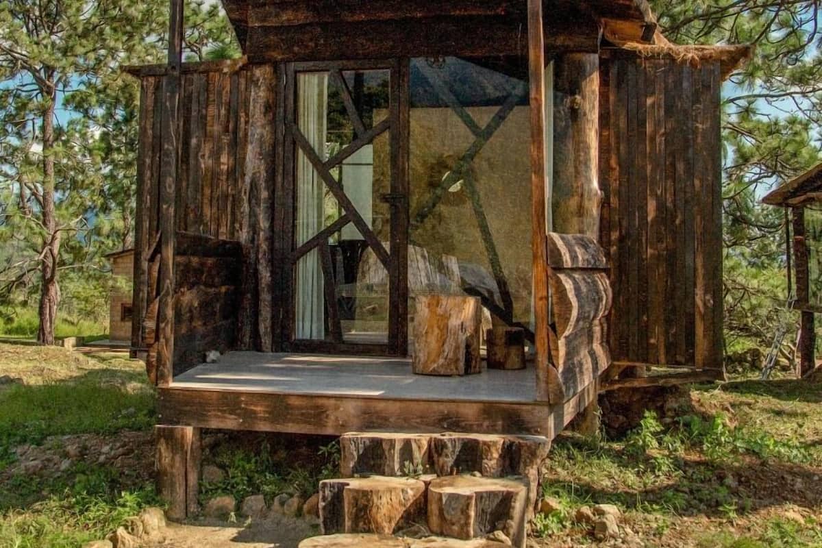 A rustic wooden cabin with a thatched roof, large glass windows, and a wooden deck.