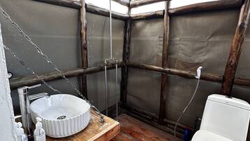 Shower, bidet, towels, toilet paper