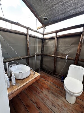 Shower, bidet, towels, toilet paper