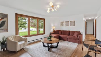 Smart-TV, Kamin