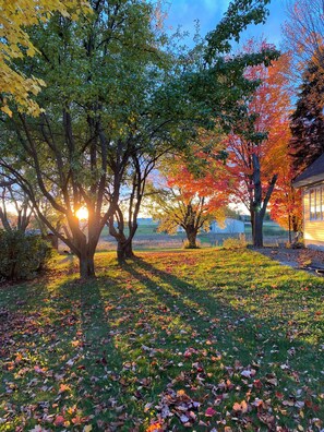 Property grounds - The Cozy North Farmhouse (Grawn)