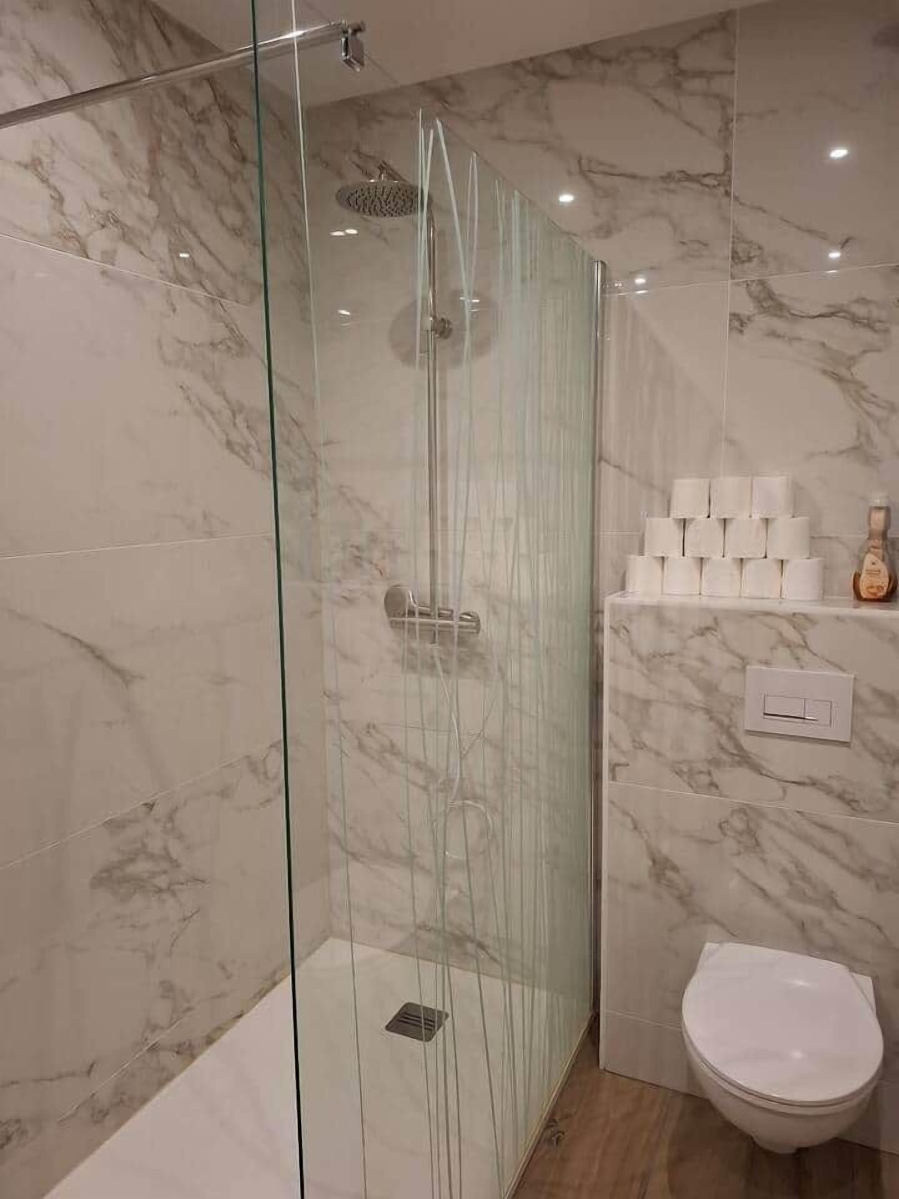 Shower, hair dryer, towels