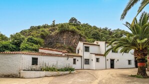 A white building with a tiled roof, a paved courtyard, and a palm tree. - El Molinillo de Jimera Jimera de Libar by Ruralidays (Málaga)
