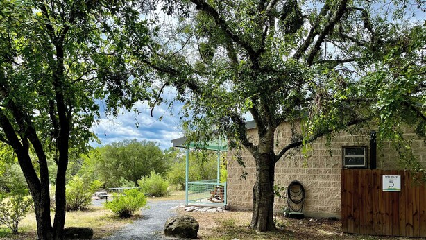 A gravel path leading to a rustic building with a wooden door and a window, surrounded by trees and greenery. - Waterfront on the Frio River, Cozy Cabin, Prime Stargazing (Concan)