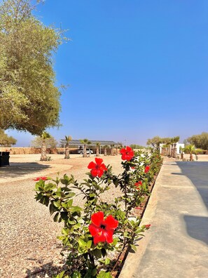 المنطقة المحيطة بالمنشأة