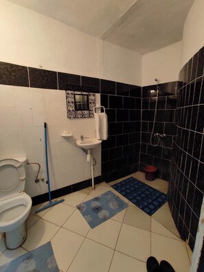 Shower, towels, soap, toilet paper