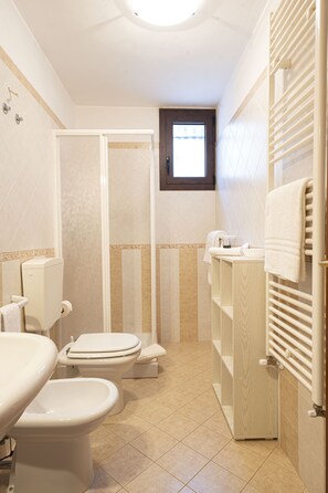 Shower, hair dryer, bidet, towels