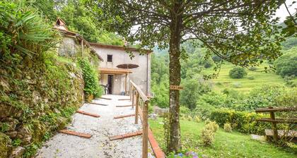 Stunning home in Stazzema with WiFi