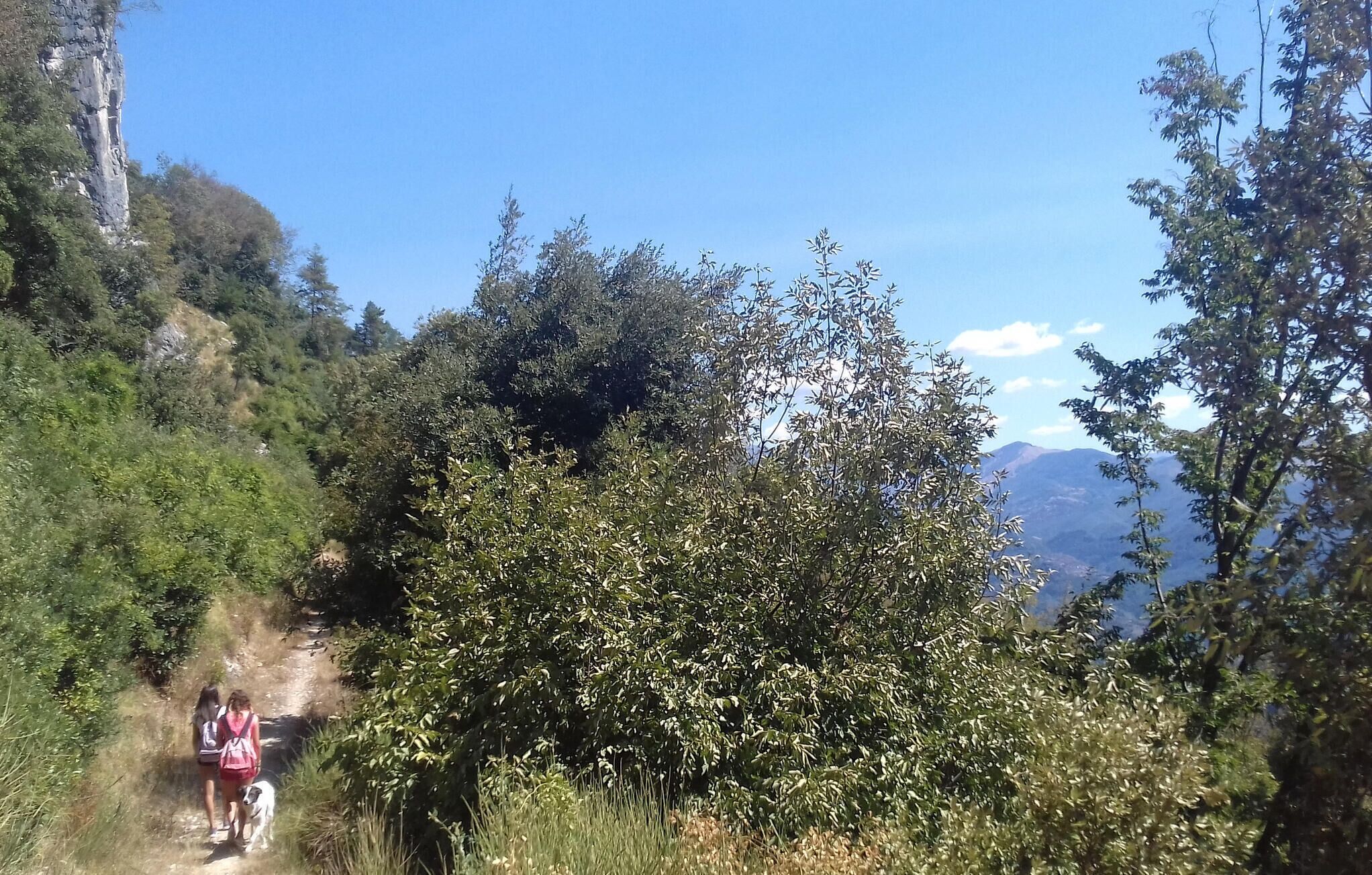 منوع