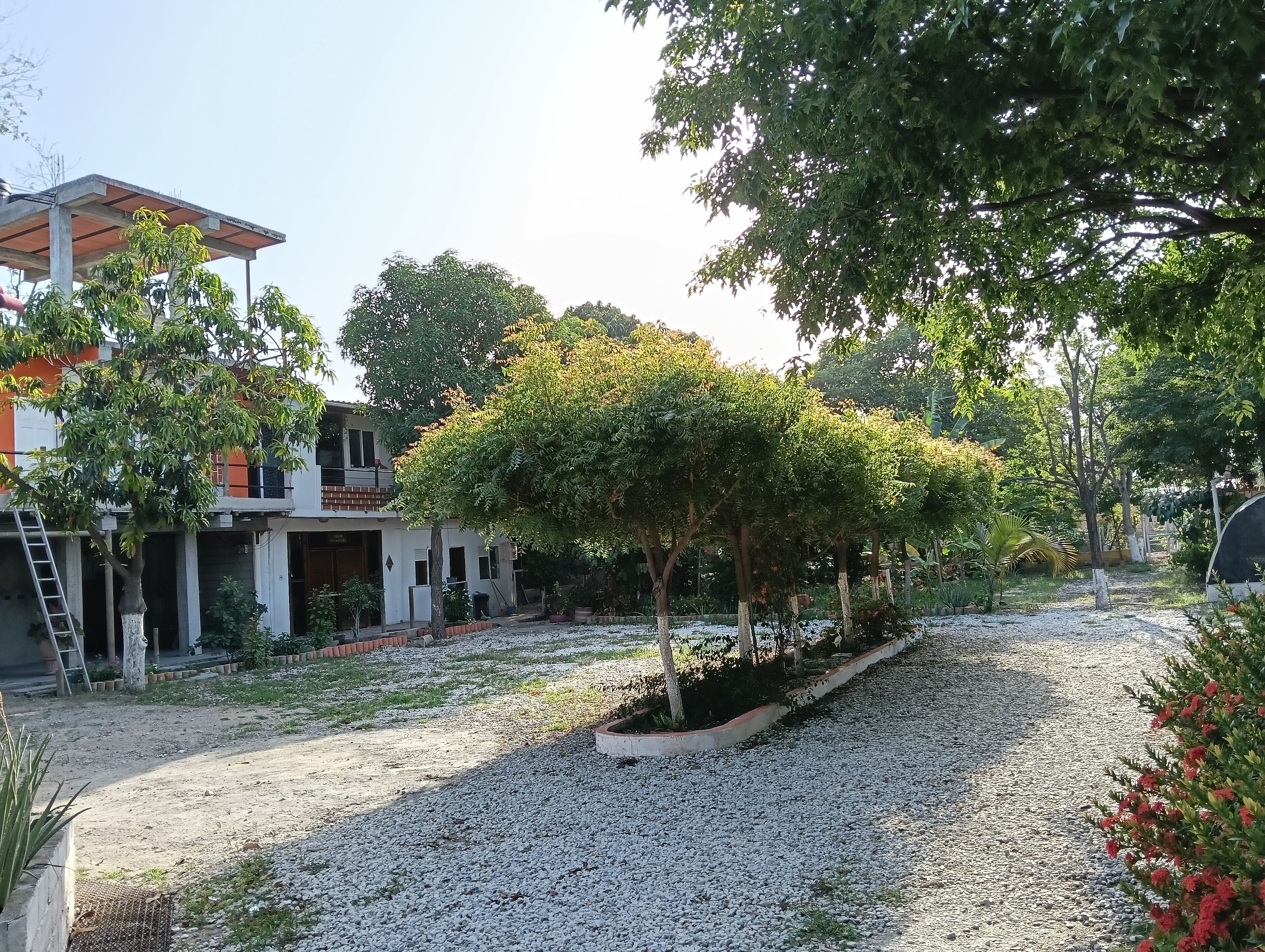 Foto - Biohotel Caribe Green