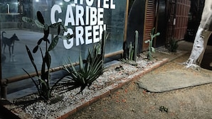Señal de Blohotel Caribe Green con vista a la calle y un perro al fondo.