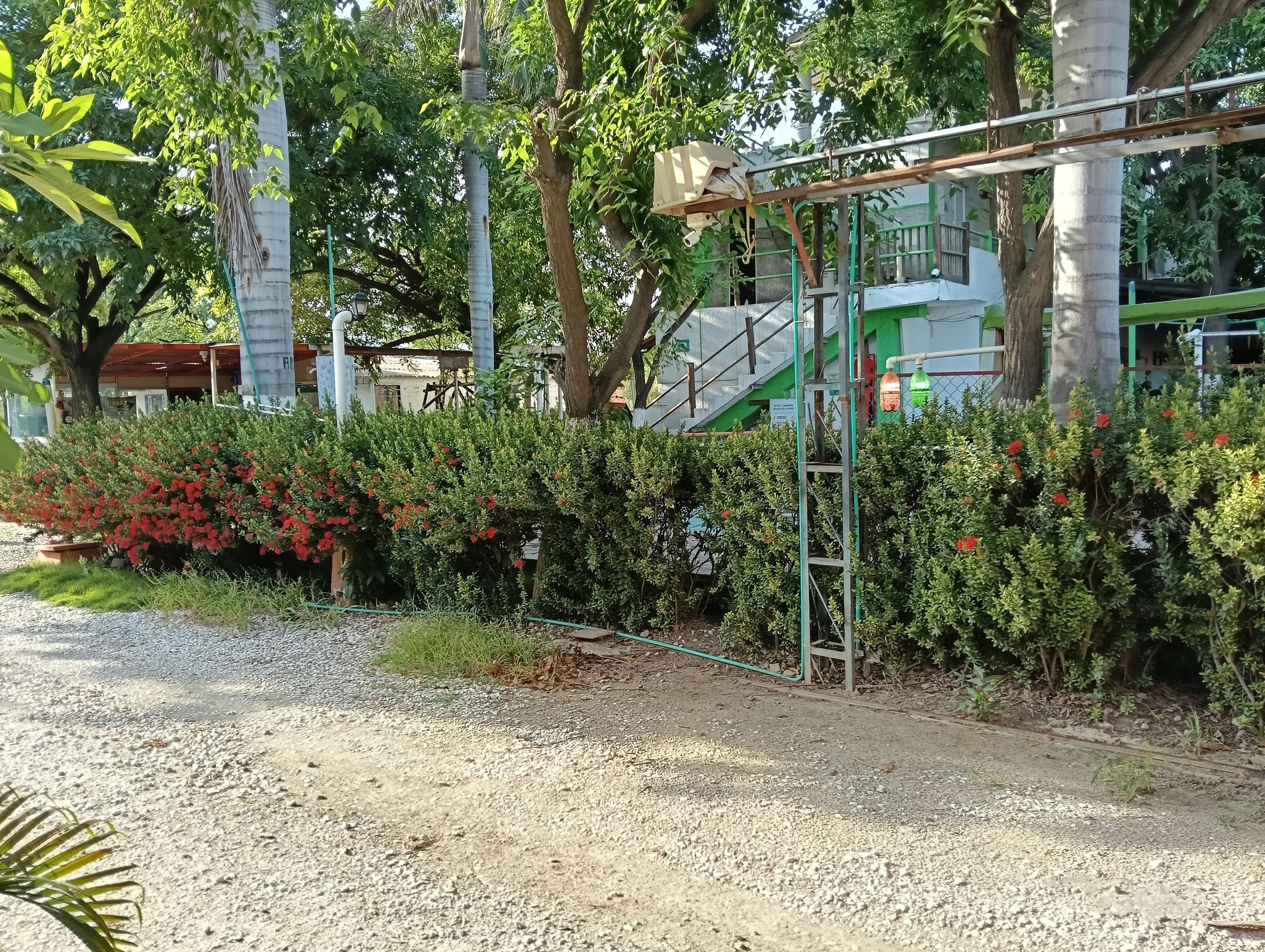 Foto - Biohotel Caribe Green