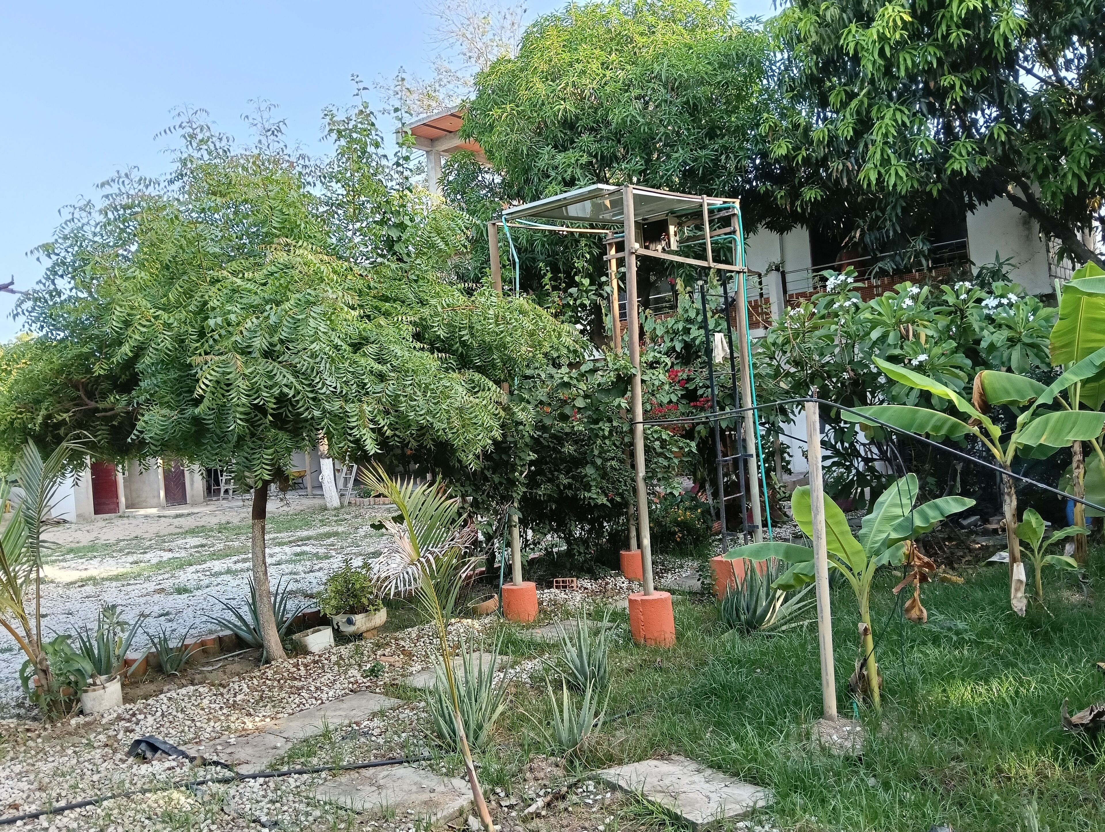 Foto - Biohotel Caribe Green