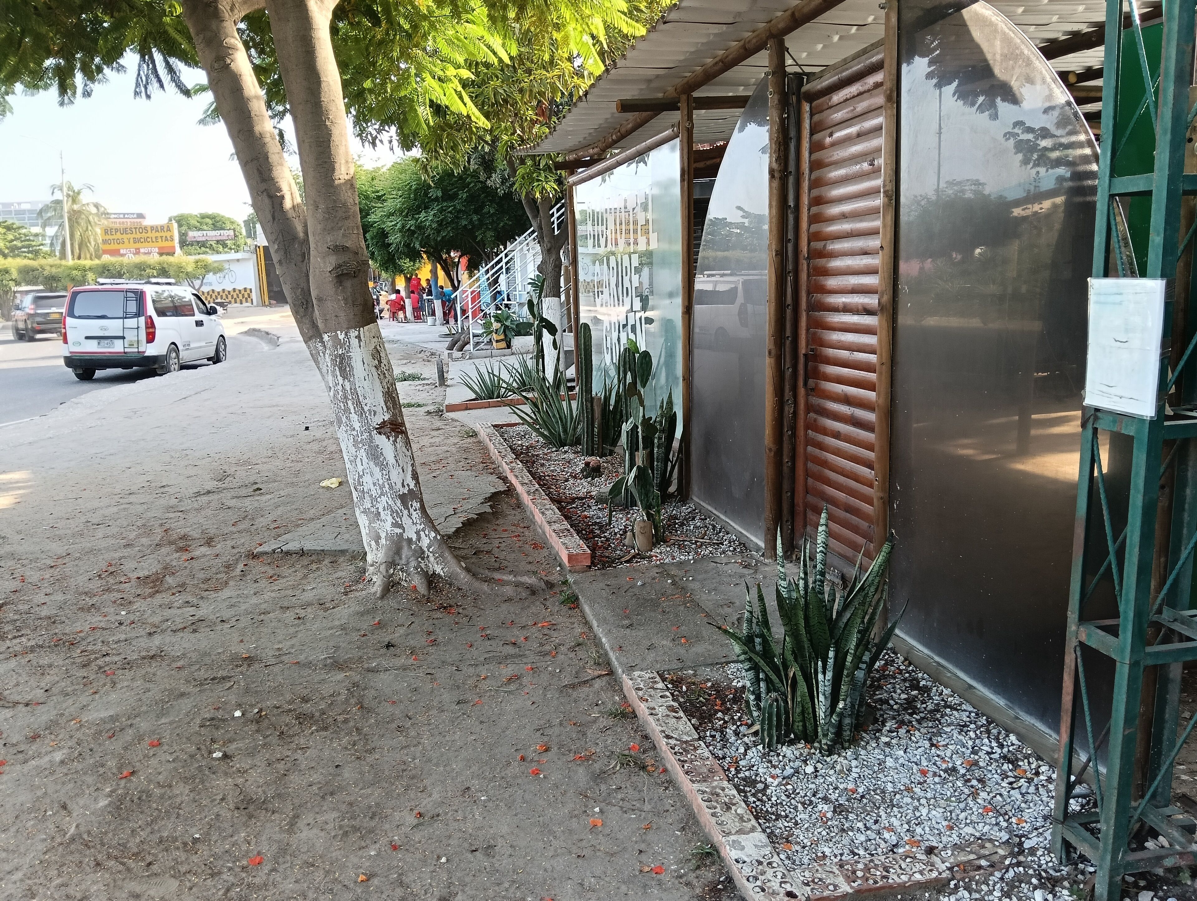 Foto - Biohotel Caribe Green